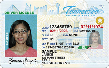 Buy Tennessee Drivers License