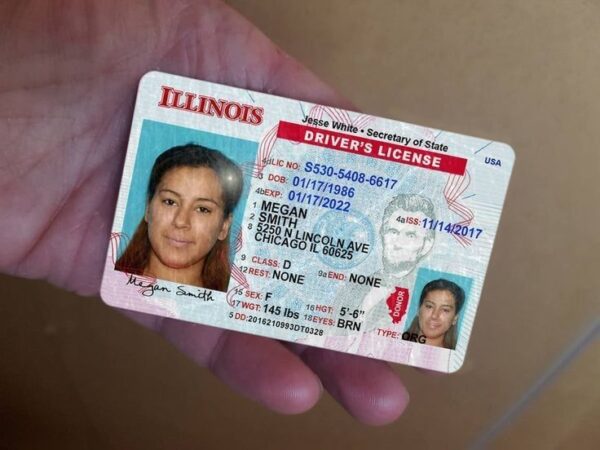 Buy Illinois Driver's License