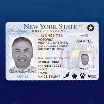 Buy New York Drivers License