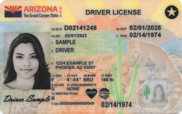 Buy Arizona Drivers License