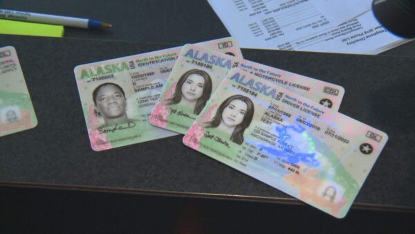 Buy Alaska Drivers License