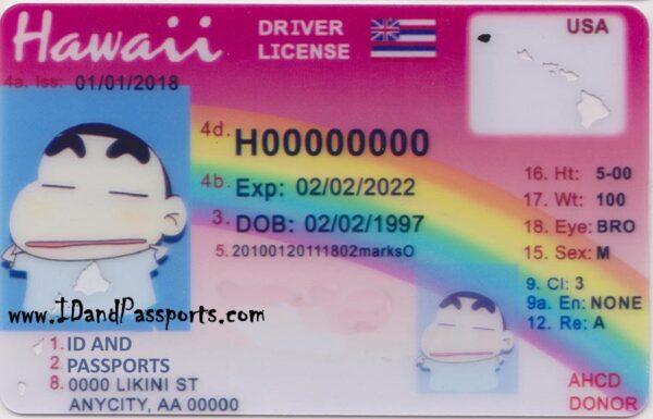 Buy Hawaii Drivers License