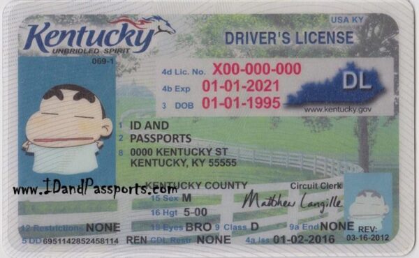 Buy Kentucky Drivers License