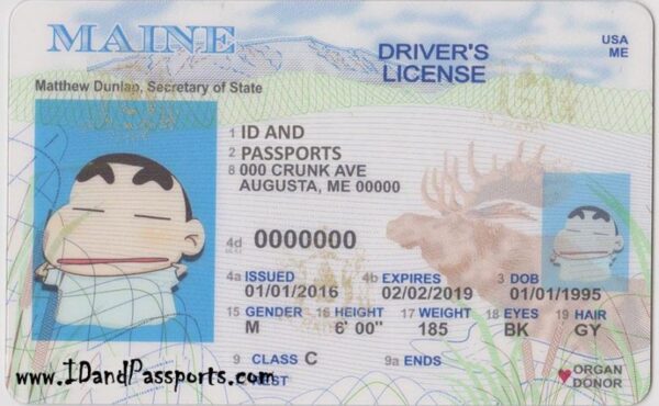 Buy Maine Driver's License