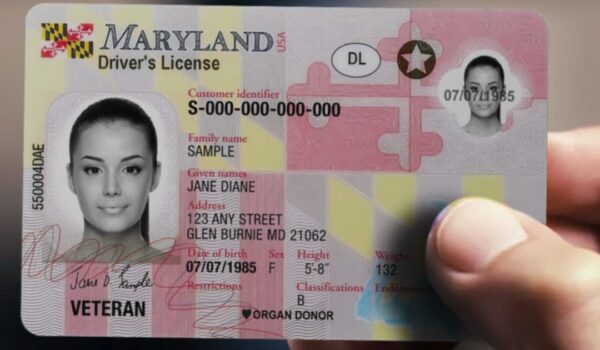 Buy Maryland Driver's License