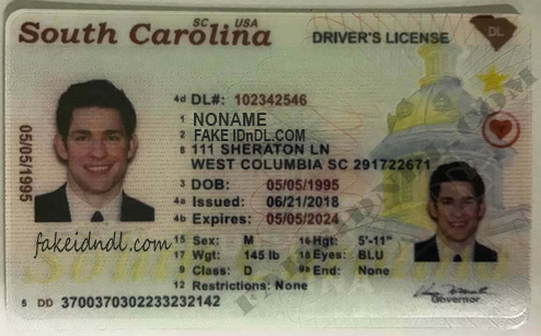 South Carolina Driver's Licenses