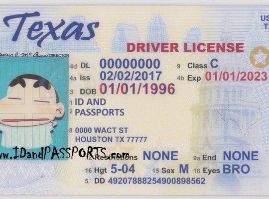 tx audit number on drivers license