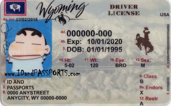 Buy Wyoming Drivers License