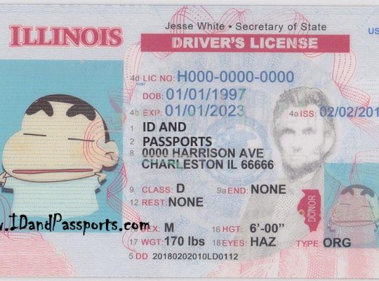 illinois id template download