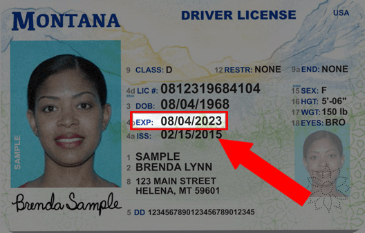 Buy Montana Drivers License