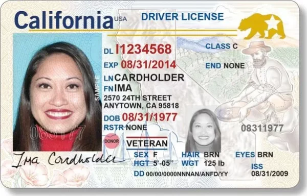 Buy Fake US Driver's license