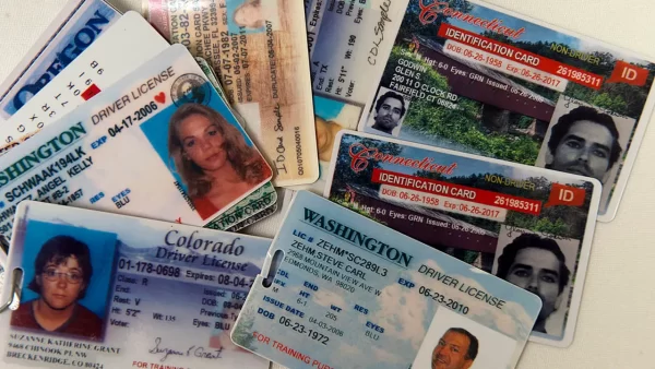 How to get a fake US Driving license