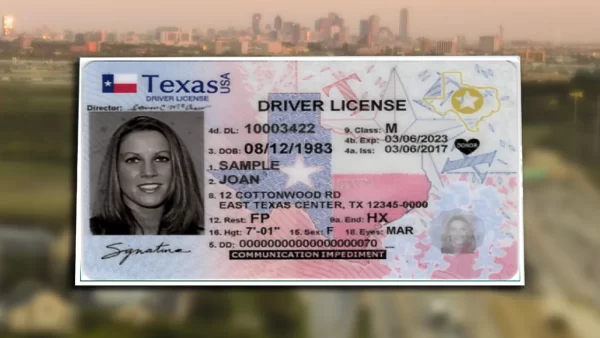 Buy Texas Drivers license